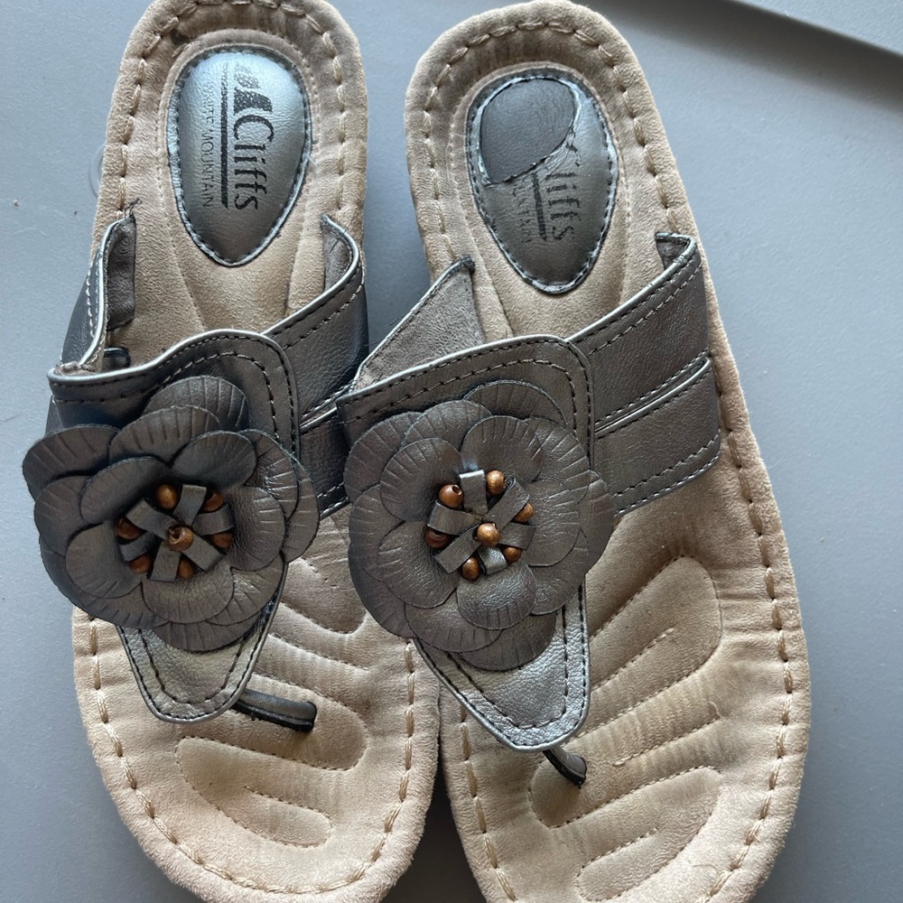 Cliffs by Stone Mountain' Silver Sandals size 8.5